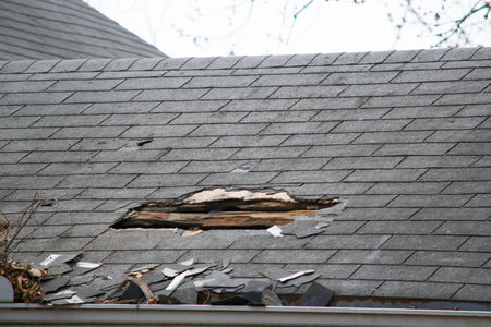 Damaged roof shingles in Fredericton, NB. Call us today to get a quote
